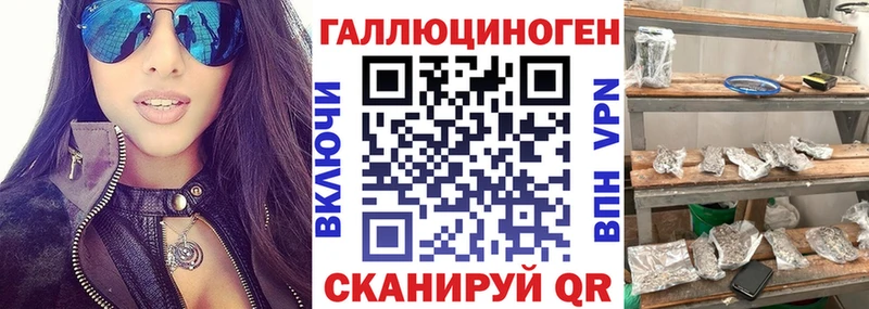 Псилоцибиновые грибы Psilocybine cubensis  Благовещенск 