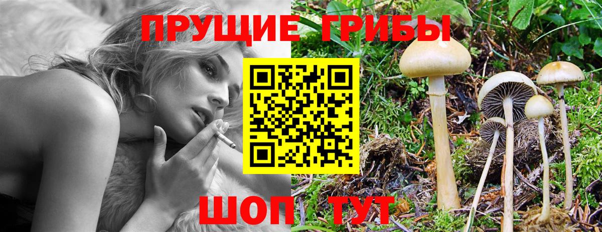 Псилоцибиновые грибы MAGIC MUSHROOMS Благовещенск
