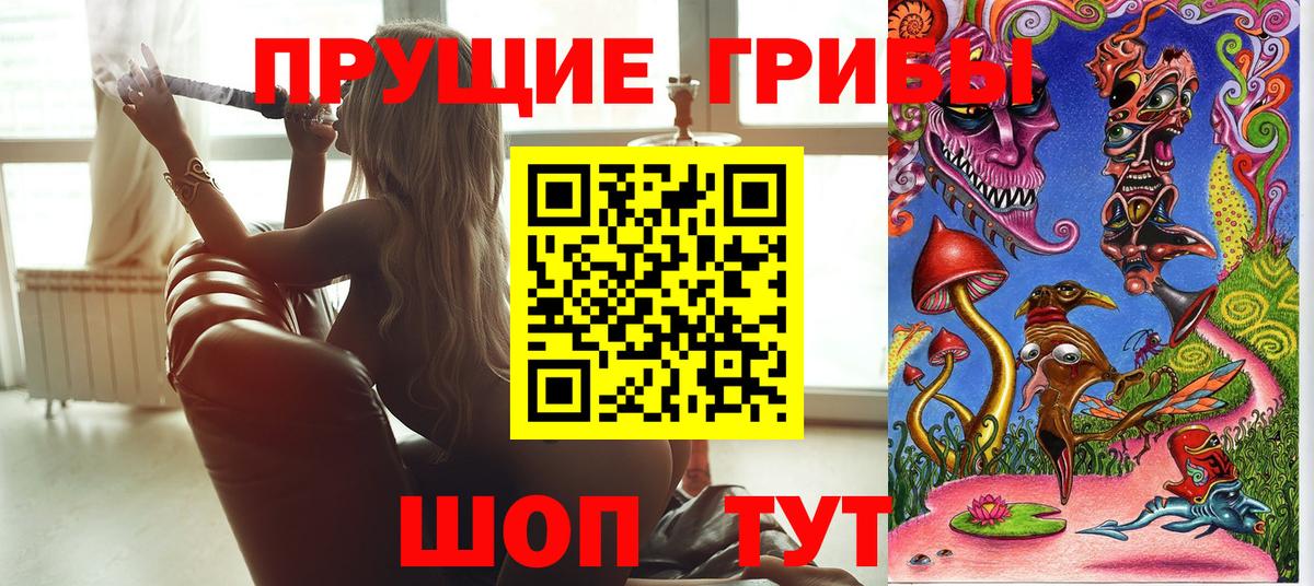 Псилоцибиновые грибы MAGIC MUSHROOMS  Вход с VPN  Благовещенск 